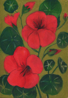 nasturtiums