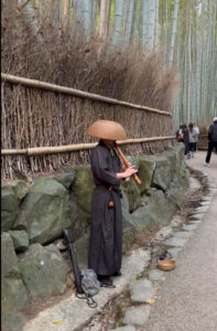 musician in the bamboo grove